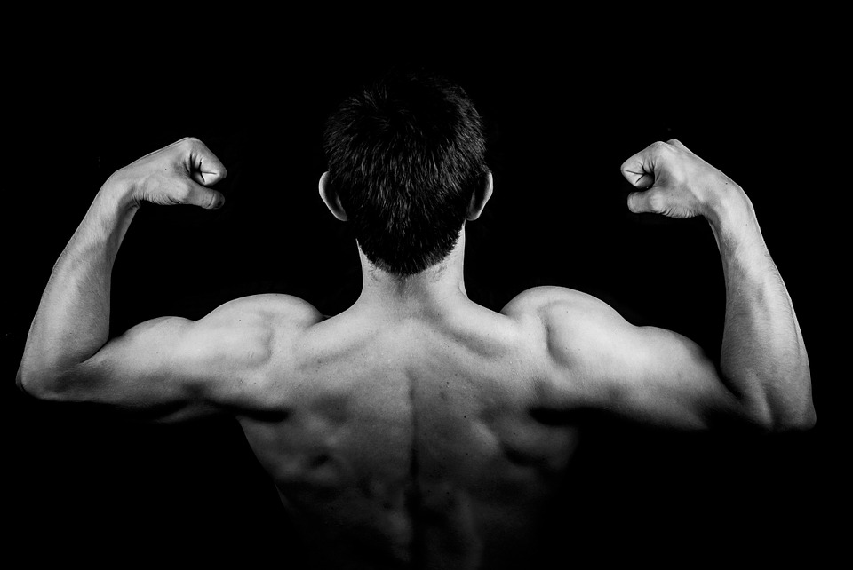 réussir en musculation